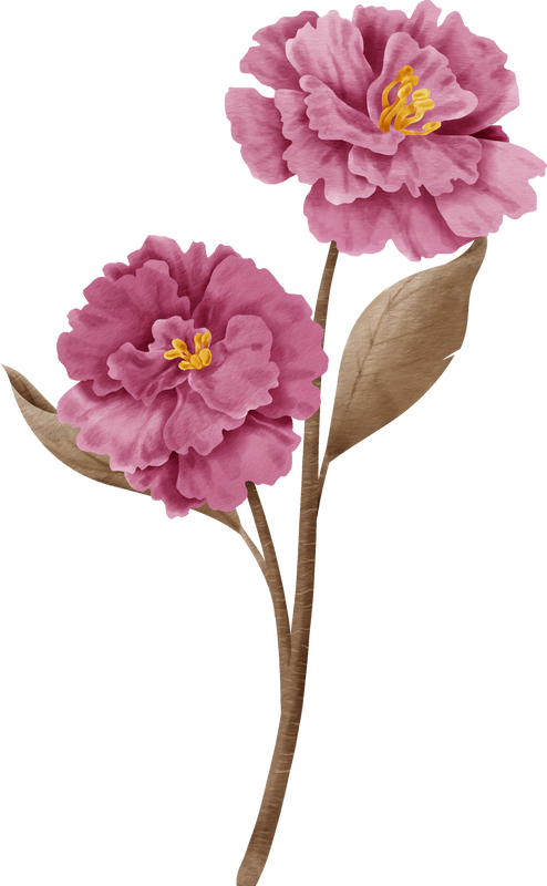Vintage Pink Flower Watercolour Perfect for Wedding Card Design